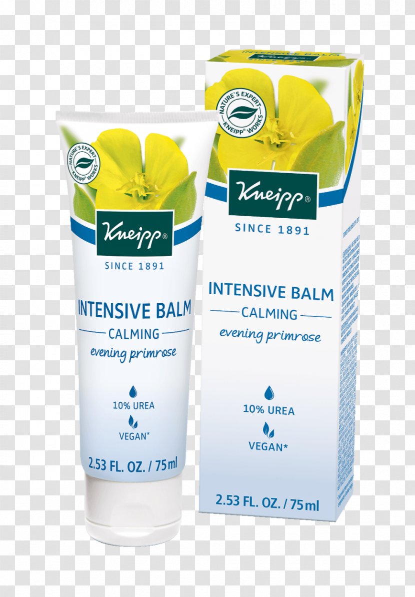 Cream Lotion Sunscreen Common Evening-primrose Kneipp Intensiv Balsam Nachtkerzenöl - Avocado Oil Seed Transparent PNG