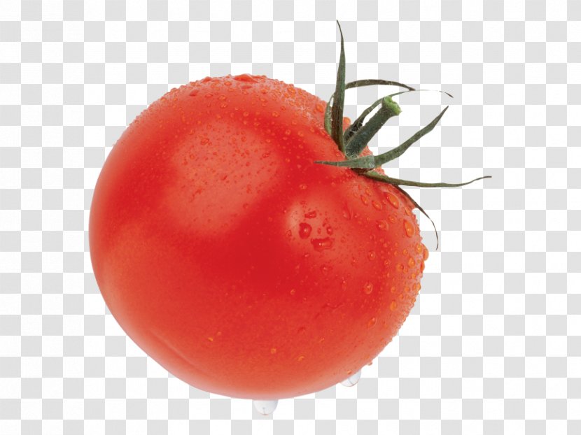 Plum Tomato Cherry Vegetable Salad Fruit - Aubergines Transparent PNG