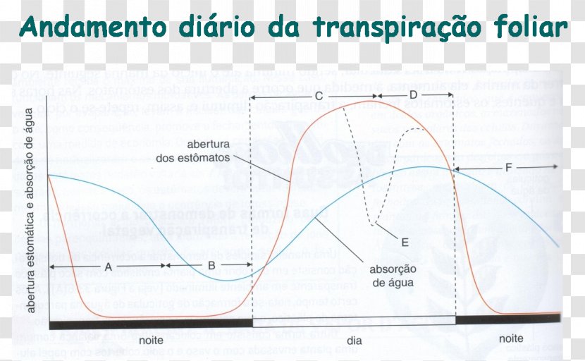 Line Angle - Diagram Transparent PNG