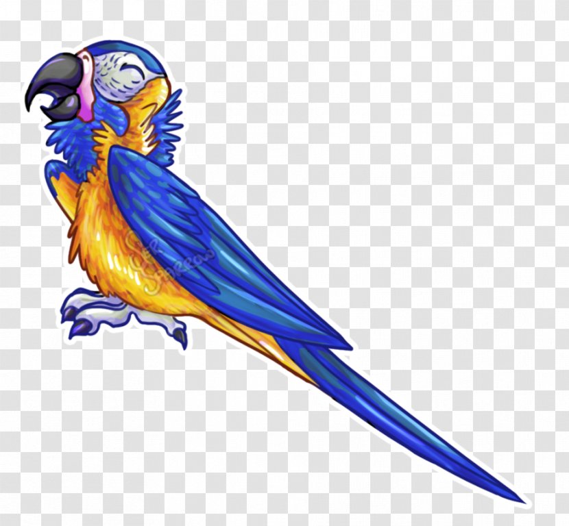 Macaw Feather Beak Wing - Fictional Character - World Sparrow Day Transparent PNG