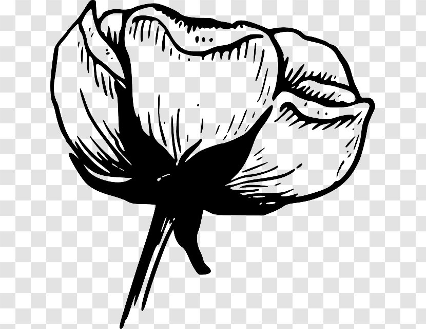 Flower White Black Rose Clip Art - Yellow Transparent PNG
