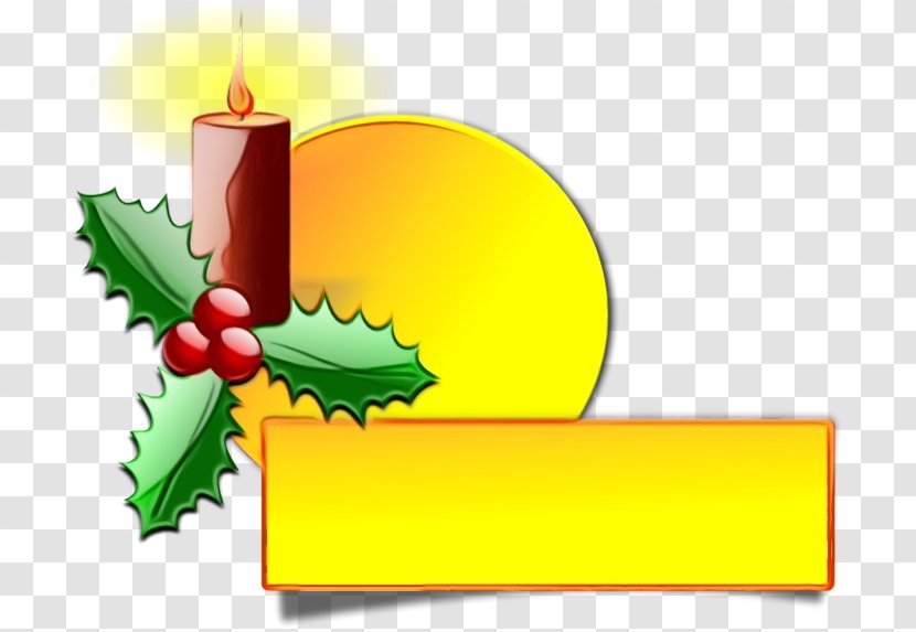 Holly - Candle Plant Transparent PNG