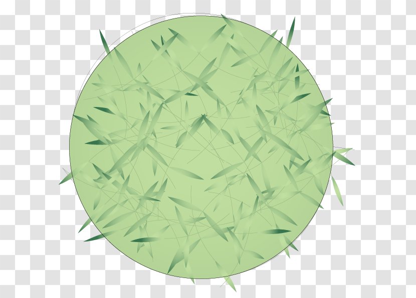 Green Leaf - Grass Transparent PNG