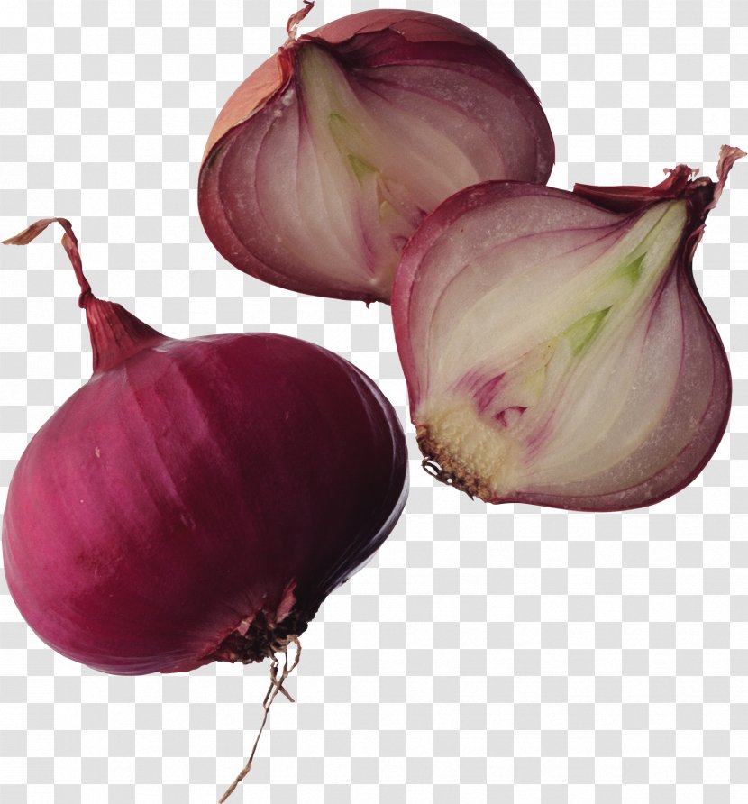 Onion Ring Veggie Burger Vegetable Brush - Natural Foods - Garlic Transparent PNG
