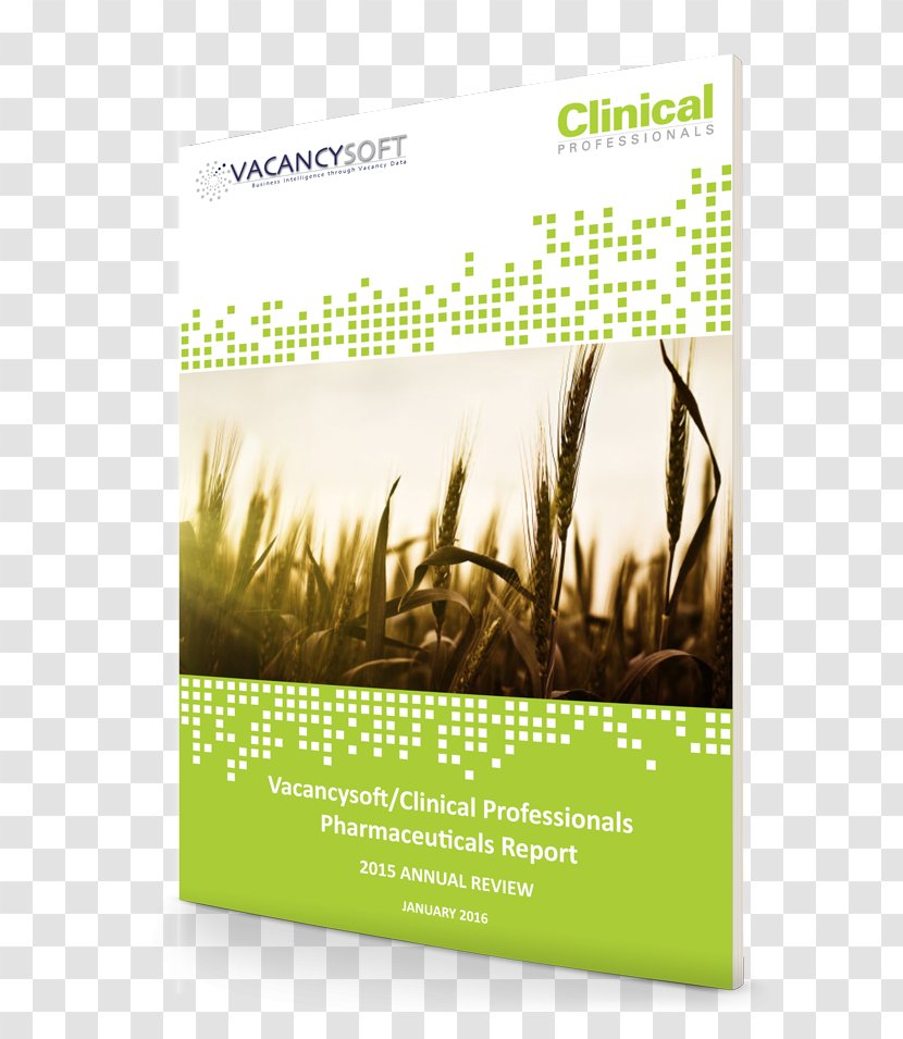Pharmaceutical Industry Biotechnology Research And Development Church - Brochure - Annual Summary Transparent PNG