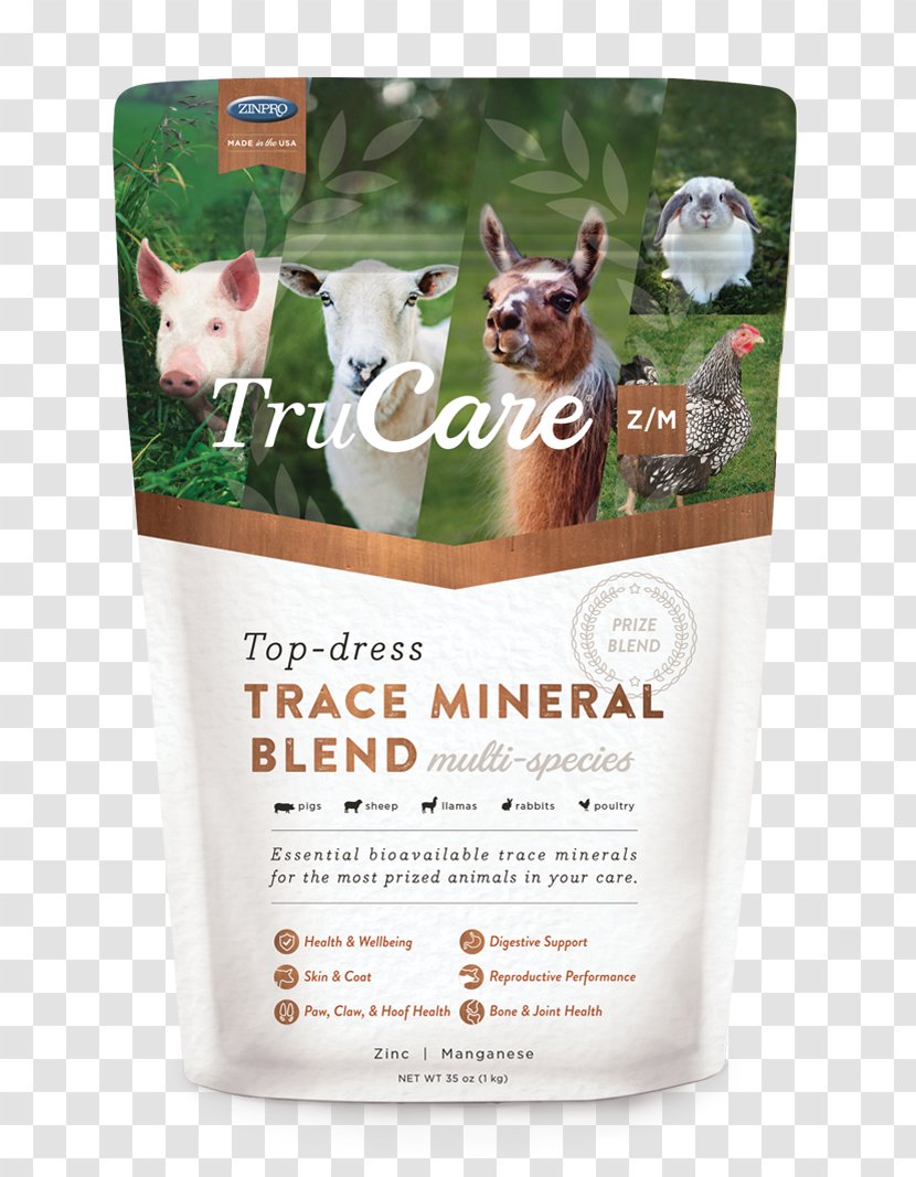 Beef Cattle Livestock Dairy Dietary Supplement Horse - Top Transparent PNG