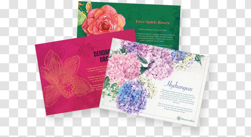Floral Design Flower Gift Card Petal - Box Transparent PNG