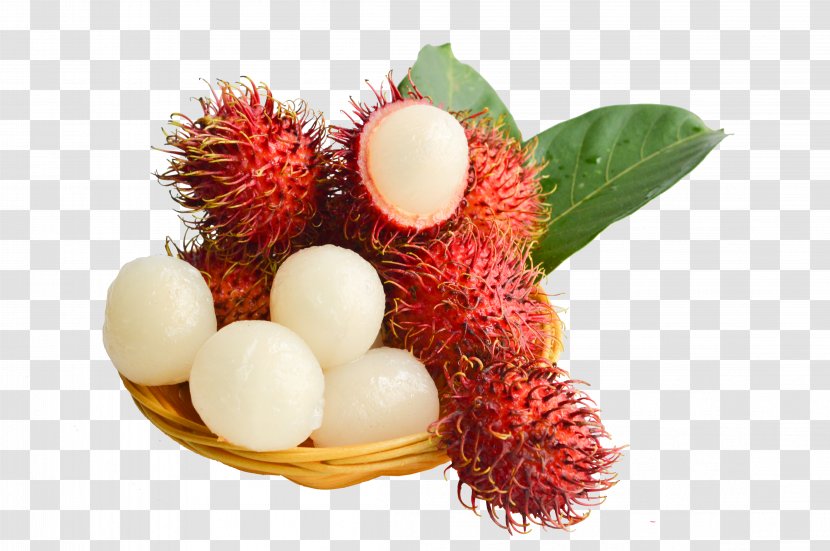 Rambutan Fruit Lychee Red - Jdcom - Fresh Hair Dan Transparent PNG