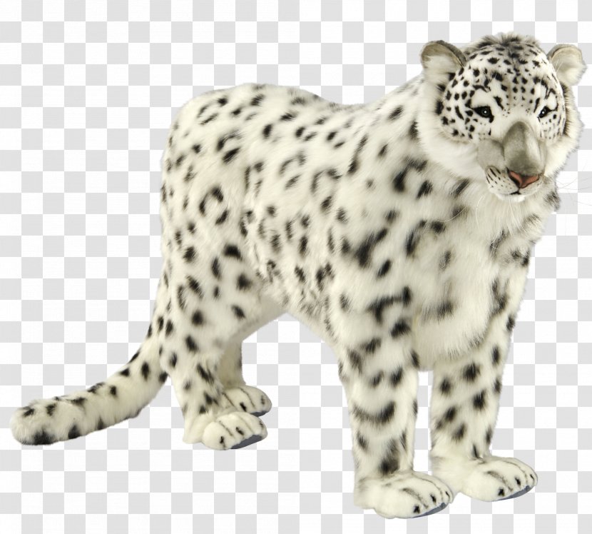 Snow Leopard Cheetah Jaguar Carnivora - Fur Transparent PNG