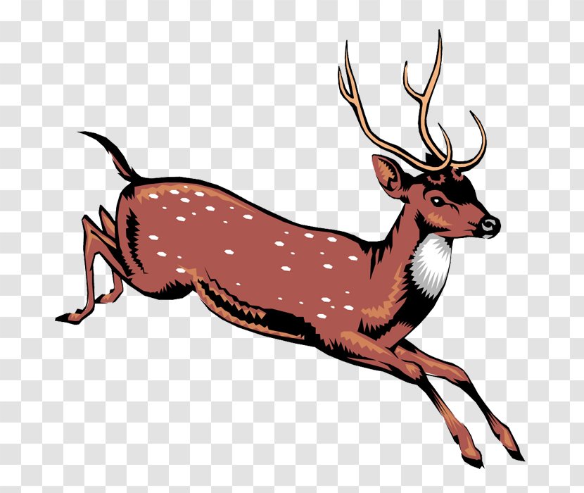 Reindeer Red Deer Clip Art - Cartoon Transparent PNG