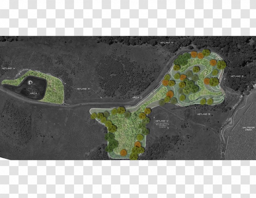 Wetland Aberdeen Proving Ground Edgewood Environmental Mitigation JLENS - Excavation - Plants Transparent PNG