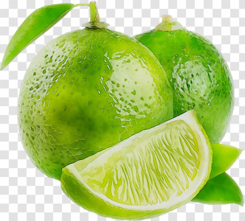 Persian Lime Plants Lemon Key Marketing - Citron - Lemonlime Transparent PNG
