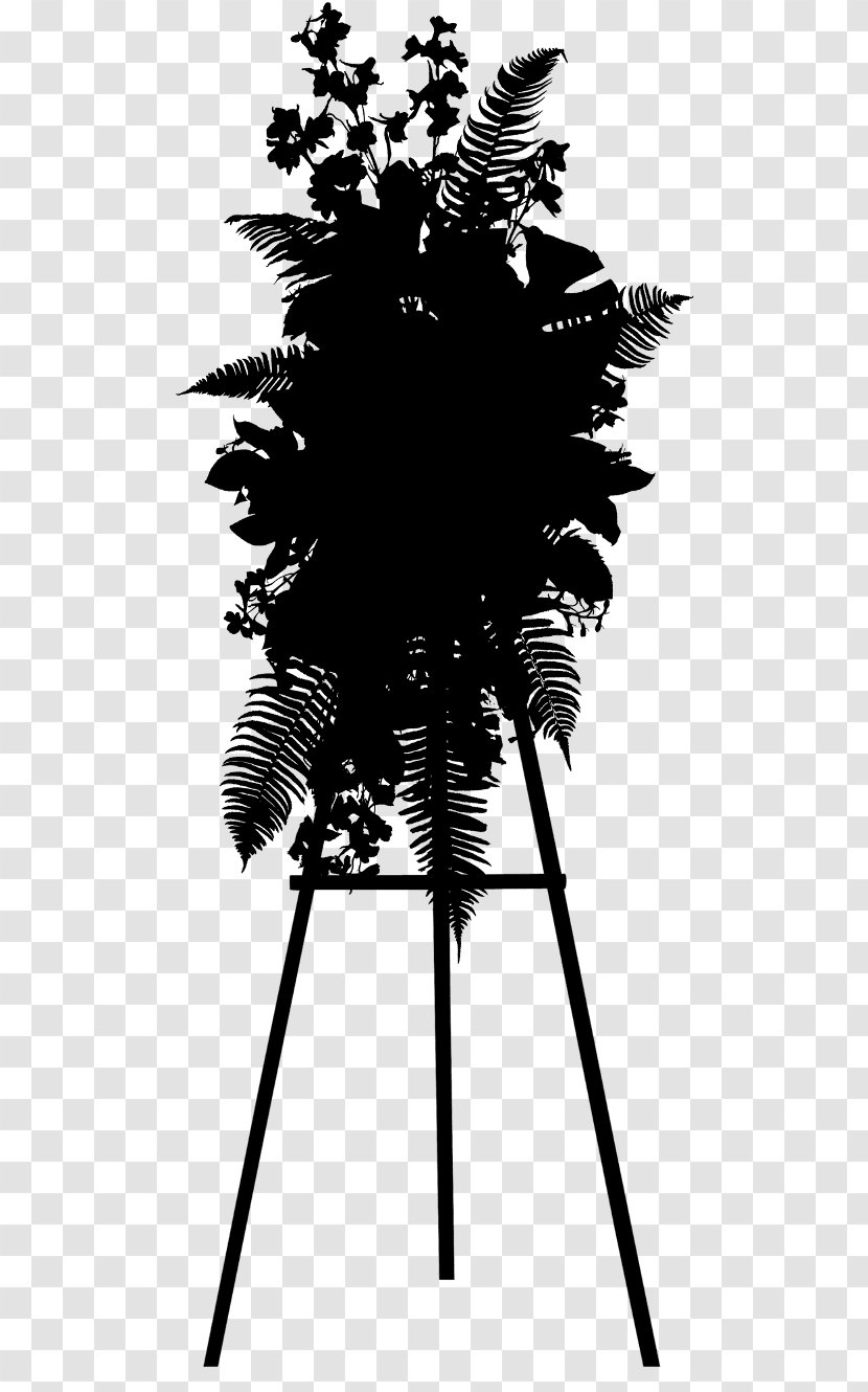 Asian Palmyra Palm Trees Leaf Pine Line - Arecales - Fern Transparent PNG