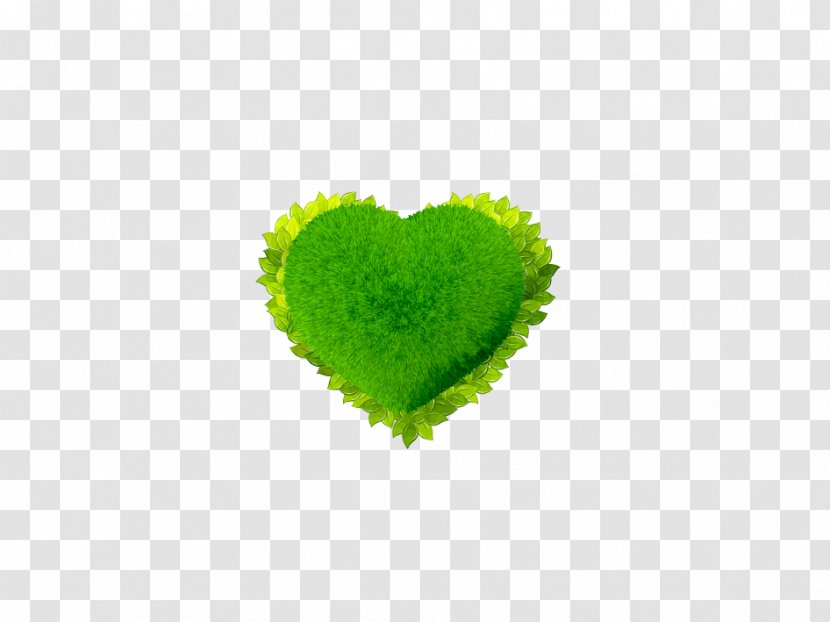 IPhone X Green Heart - Grass Transparent PNG