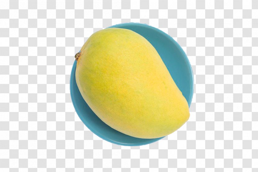 Mango - Fruit Transparent PNG
