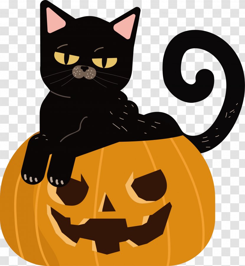 The Cat Sitting In Pumpkin - Calabaza Transparent PNG