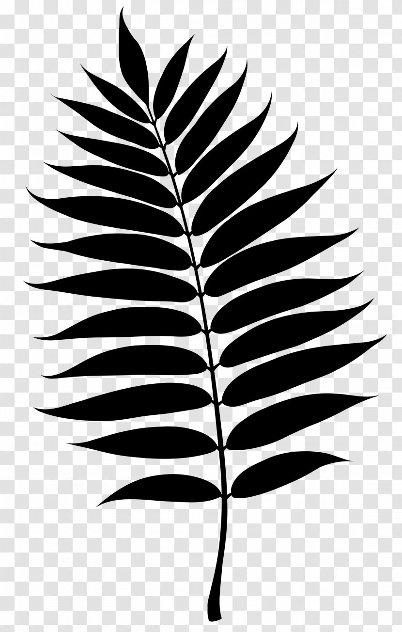 Twig Plant Stem Leaf Line Silhouette - Tree Transparent PNG