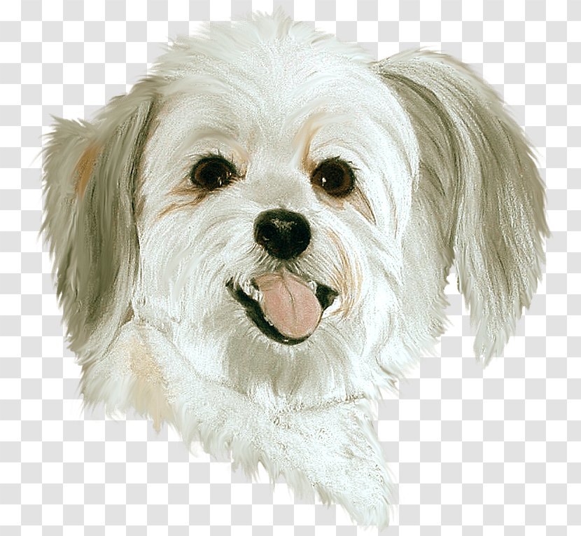 Dog Pet Sitting PaintShop Pro Clip Art - Puppy Love - Tube Transparent PNG