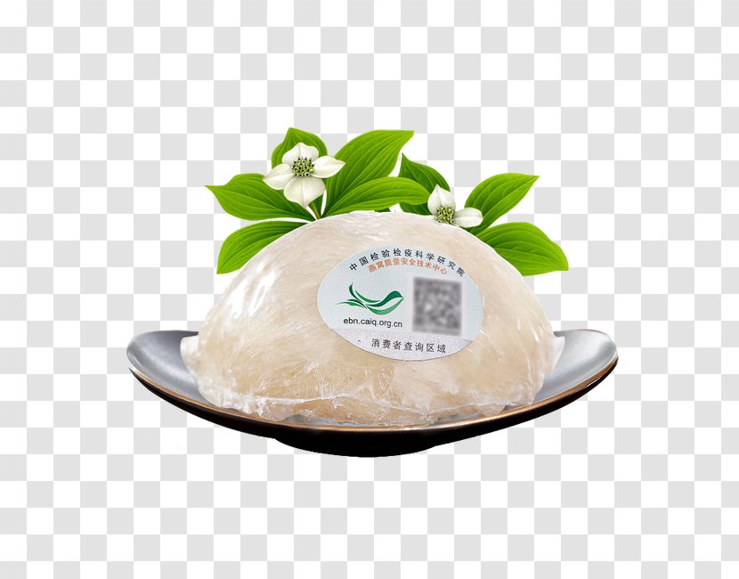 White Bird's Nest - Swallow - Flavor Transparent PNG