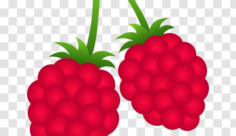 Clip Art Berries Raspberry Fruit Blackberry - Superfood Transparent PNG