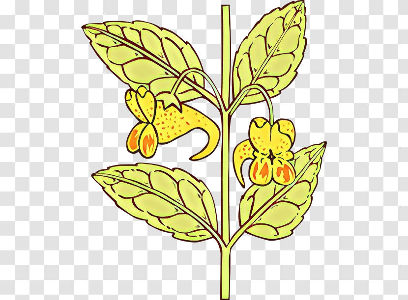 Leaf Flower Plant Yellow Pedicel Transparent PNG