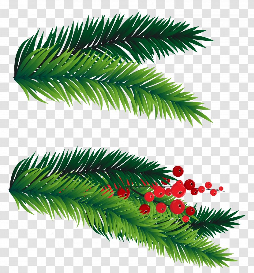 Fir Christmas Tree Clip Art - Leaf - Pine Branches Decoration Picture Transparent PNG