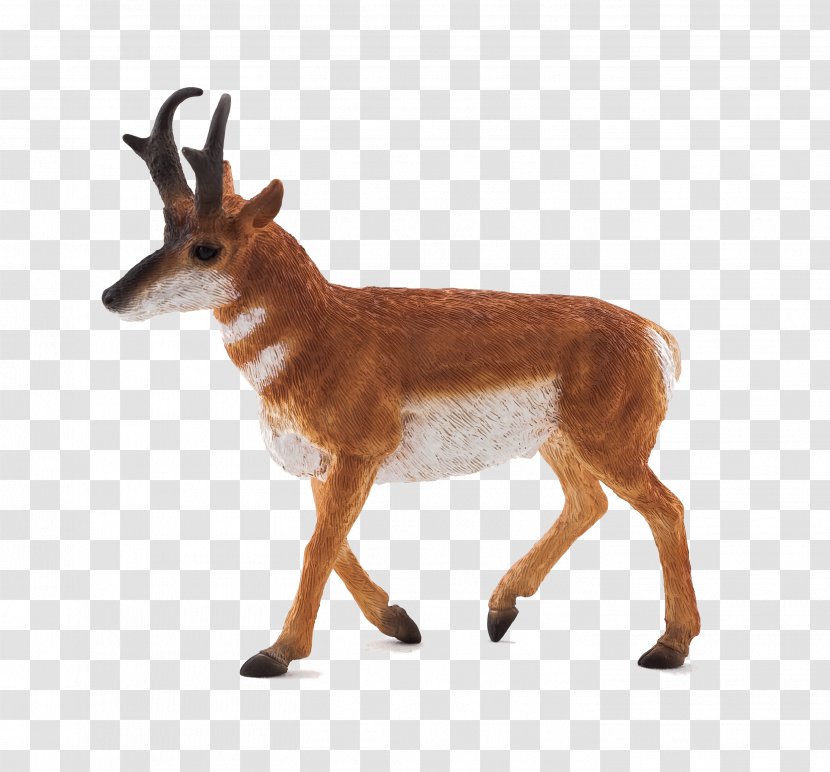 Pronghorn Antelope Impala Stuffed Animals & Cuddly Toys Transparent PNG