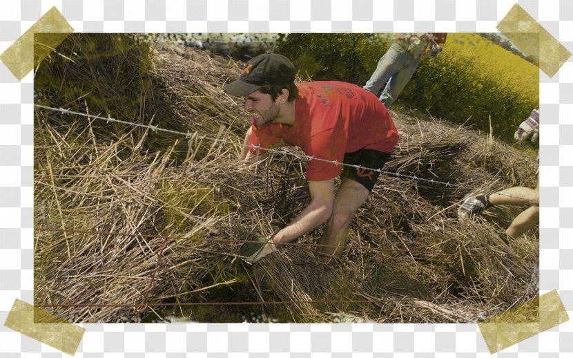 Community Outreach Volunteering Organization Soil - Grasses - Polaroid Watercolor Transparent PNG