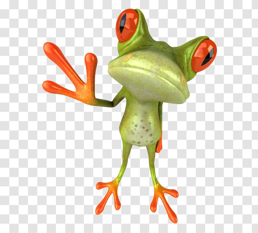 Fun Frogs Post Cards Stock Photography - Frog Transparent PNG