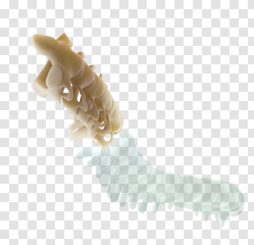 Jaw Organism - Bone Material Transparent PNG
