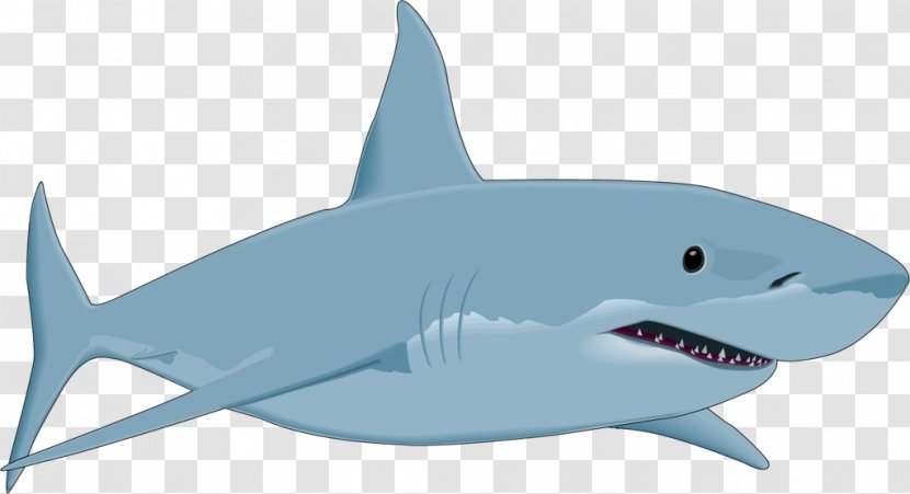 Great White Shark Drawing Clip Art - Tiger - Sharks Transparent PNG
