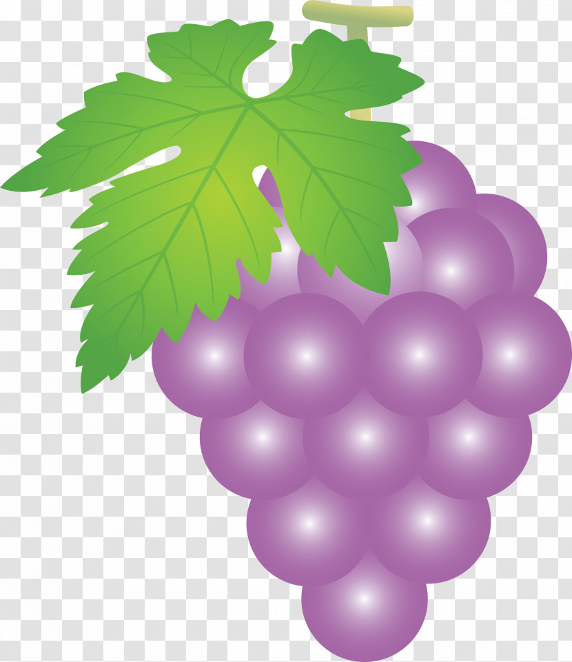 Grape Grapes Fruit Transparent PNG