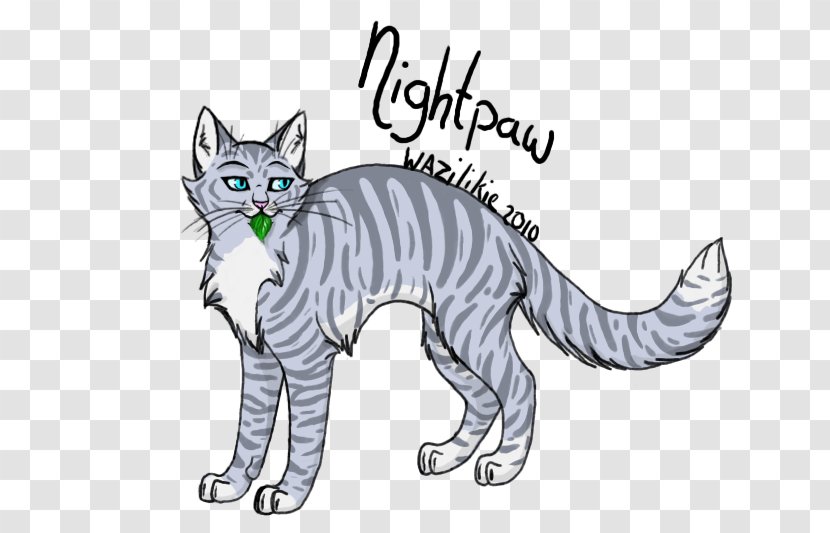 Whiskers Tabby Cat Domestic Short-haired Wildcat - Drawing Transparent PNG