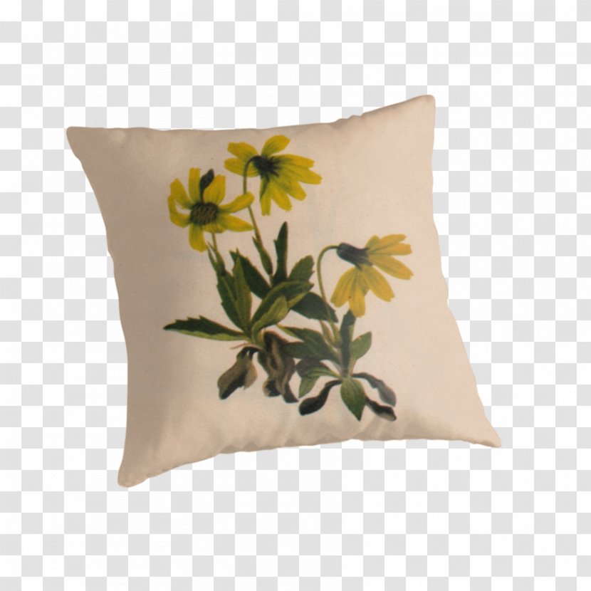 Lake Louise Arnica (Arnica Louisiana) Flower Cushion Throw Pillows United States - Generic Drug - Watercolor Red Transparent PNG