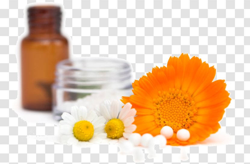 Bach Flower Remedies Homeopathy Medicine Therapy Alternative Health Services Transparent PNG