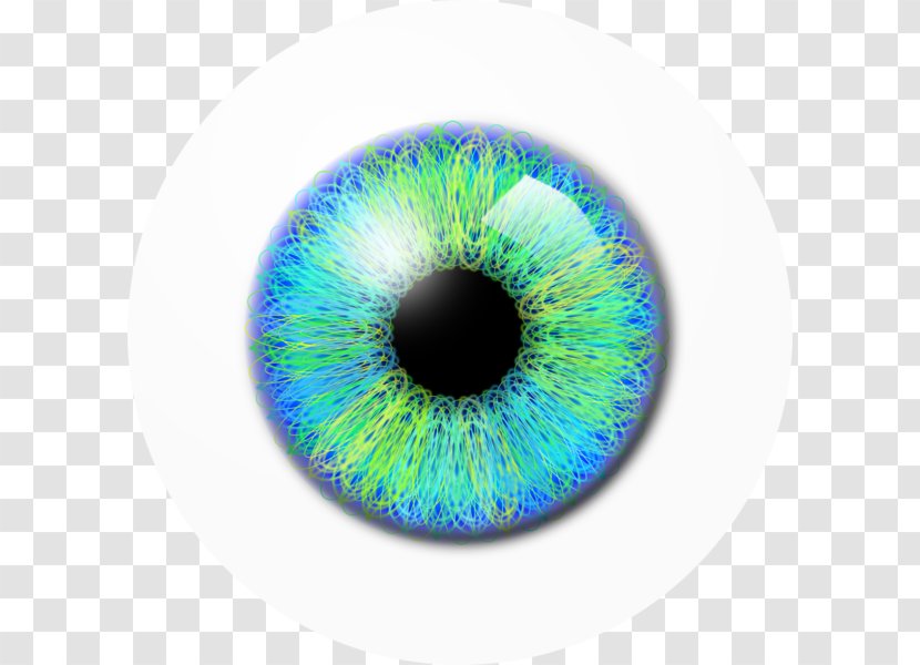 Eye Pupil Icon - Silhouette Transparent PNG