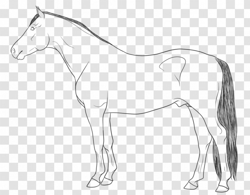 Line Art Mule Pony Drawing - Rein - Horse Transparent PNG