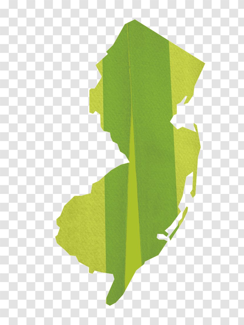 New Jersey AFS Intercultural Programs Cricut Clip Art - Tree - Green Transparent PNG