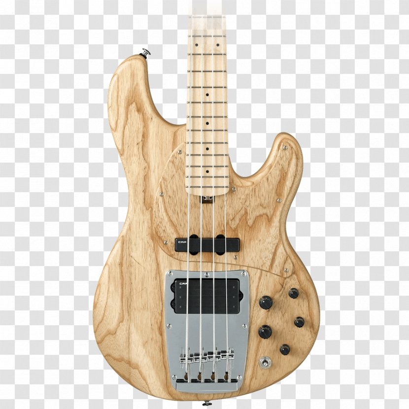 Bass Guitar Electric Amplifier Ibanez - Cartoon Transparent PNG