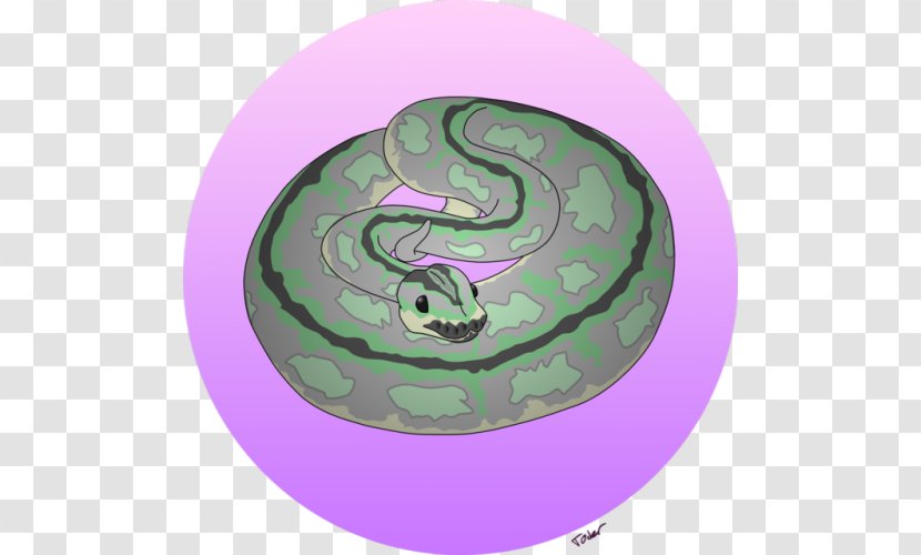 Spiral Circle Pattern - Organism - Ball Python Transparent PNG