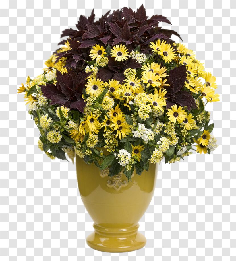 Container Garden Flowerpot Houseplant - Yellow Transparent PNG