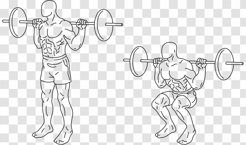 Squat Exercise Bench Press Human Back Deadlift - Silhouette - Barbell Transparent PNG
