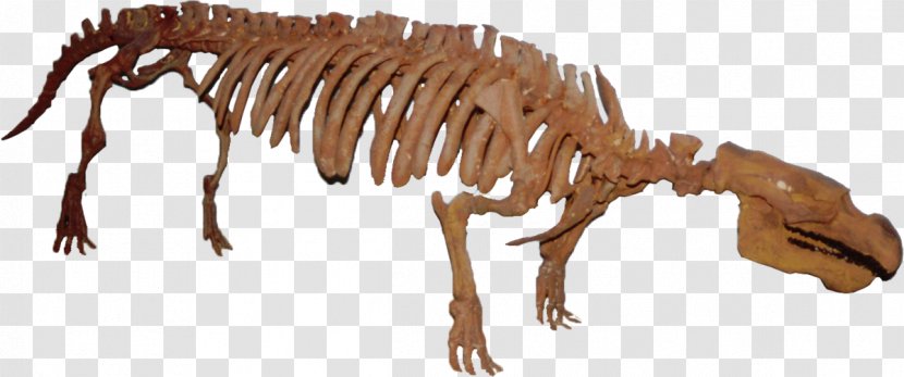 Tyrannosaurus Dugongidae Pezosiren Eocene - Animal Figure - Arsinoitherium Transparent PNG