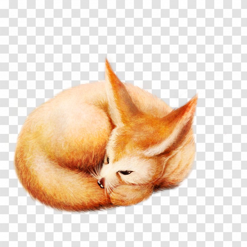 Fox Diego De La Vega Whiskers Kitten - Tail - Sleeping Transparent PNG