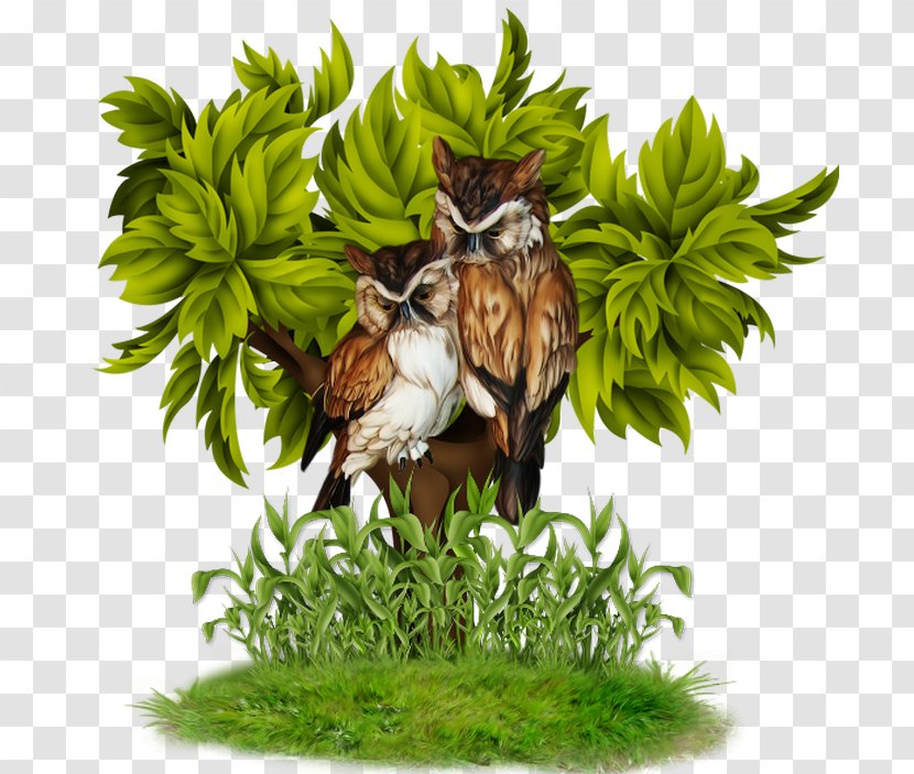 Animation Clip Art - Owl - On A Tree Transparent PNG