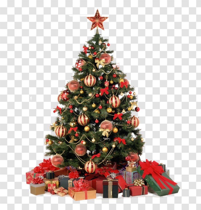 Christmas Decoration Ornament Tree Tinsel - Evergreen Transparent PNG