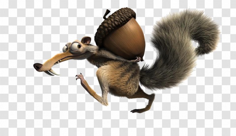 Scrat Ice Age Image Animated Film Acorn - Rodent Transparent PNG