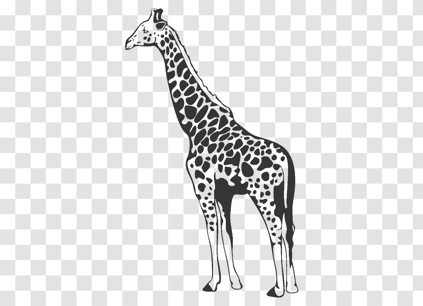 Style And Apply Giraffe II Wall Decal Paper Sticker - Tree Transparent PNG