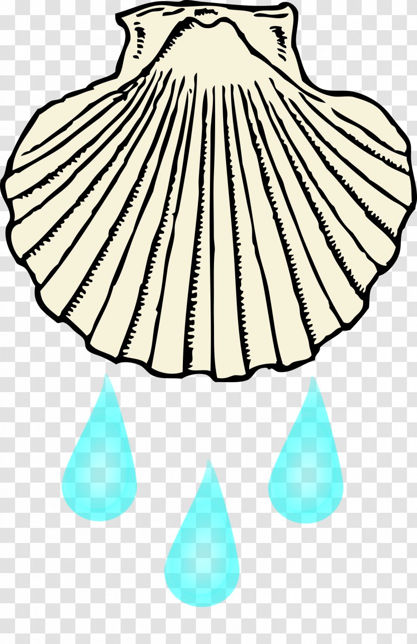 Clam Seashell Black And White Clip Art - Baptism Transparent PNG