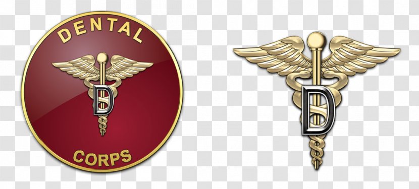 United States Army Nurse Corps Branch Insignia Navy Veterinary Transparent PNG